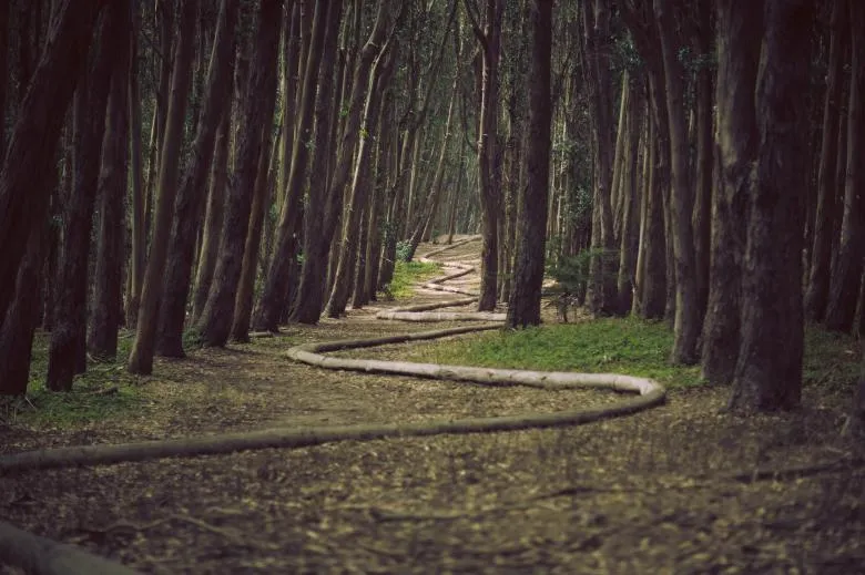 Leading Lines: Guide Your Viewer